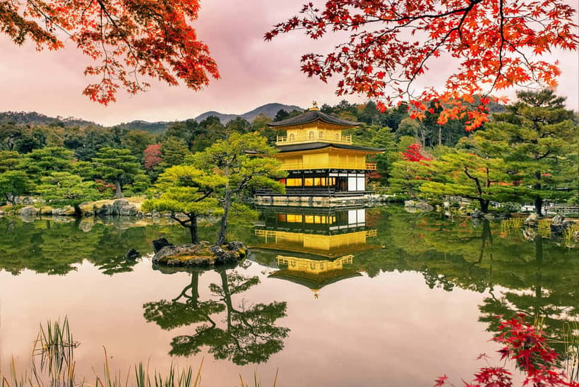 Osaka/Kyoto: Katsuoji, Kinkakuji, Arashiyama 1-Day Bus Tour - Kimono Forest and Nonomiya Shrine