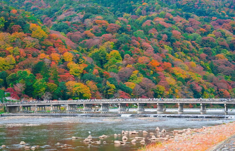 Osaka/Kyoto: Katsuoji, Kinkakuji, Arashiyama 1-Day Bus Tour - Kinkakuji and its golden reflection