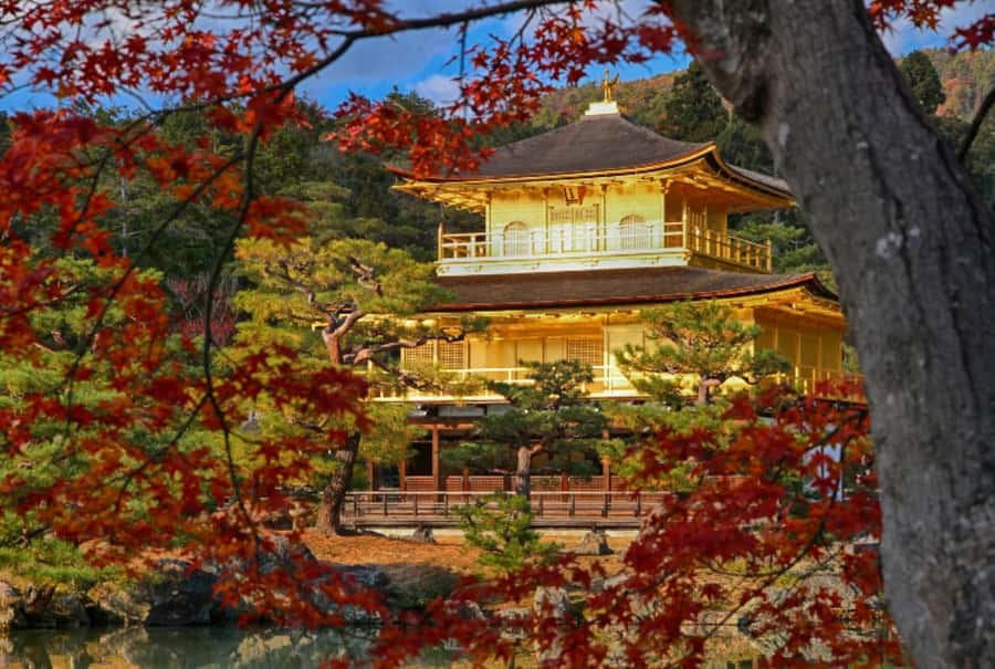 Osaka/Kyoto:Kinkakuji,Arashiyama,FushimiInariShrine,NaraPark - FAQ