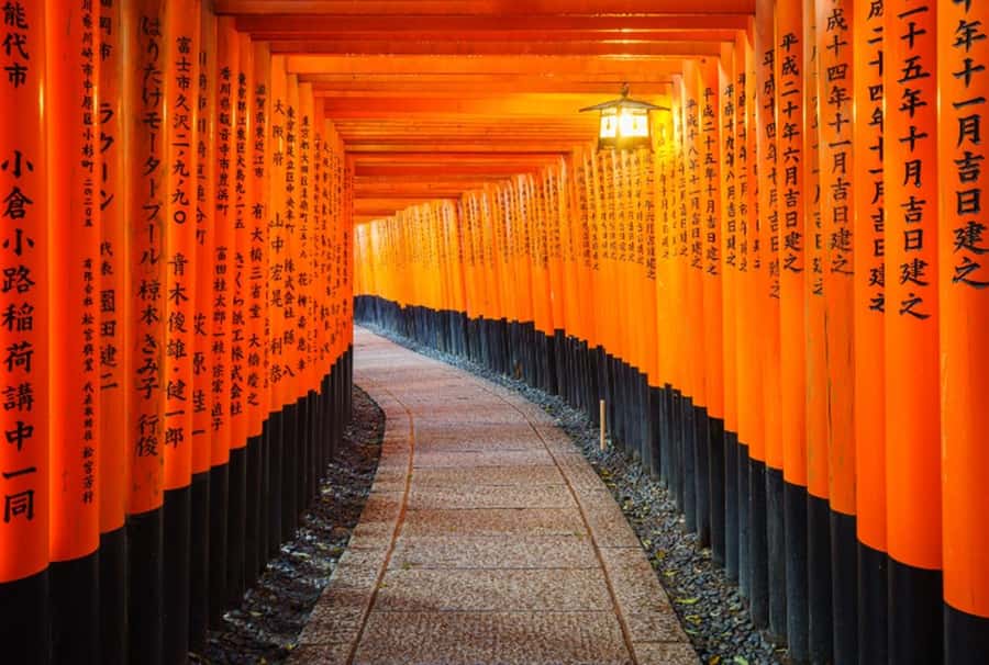 Osaka/Kyoto:Kinkakuji,Arashiyama,FushimiInariShrine,NaraPark - Four major sights without four separate transport plans