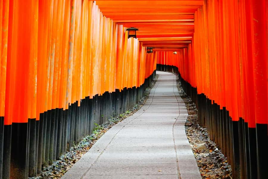 Osaka/Kyoto:Kinkakuji,Arashiyama,FushimiInariShrine,NaraPark - The Arashiyama Bamboo Grove and your lunch decision