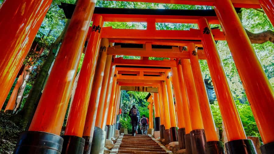 Osaka/Kyoto:Kinkakuji,Arashiyama,FushimiInariShrine,NaraPark - Nara Park and the Great Buddha at Todai-ji