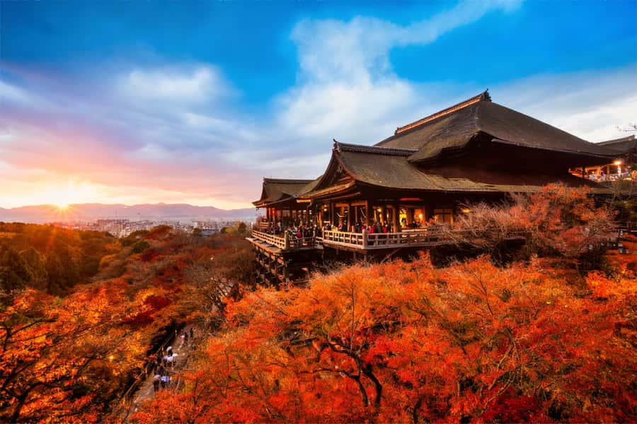 Osaka/Kyoto: Kiyomizudera Fushimi Inari, Nara Tour w/ Pickup - Why this Osaka day trip works