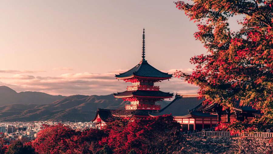 Osaka/Kyoto: Kiyomizudera Fushimi Inari, Nara Tour w/ Pickup - Todai-ji and the Great Buddha