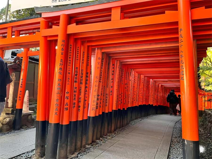 Osaka/Kyoto: Kiyomizudera Fushimi Inari, Nara Tour w/ Pickup - Possible extras and personal guide touches