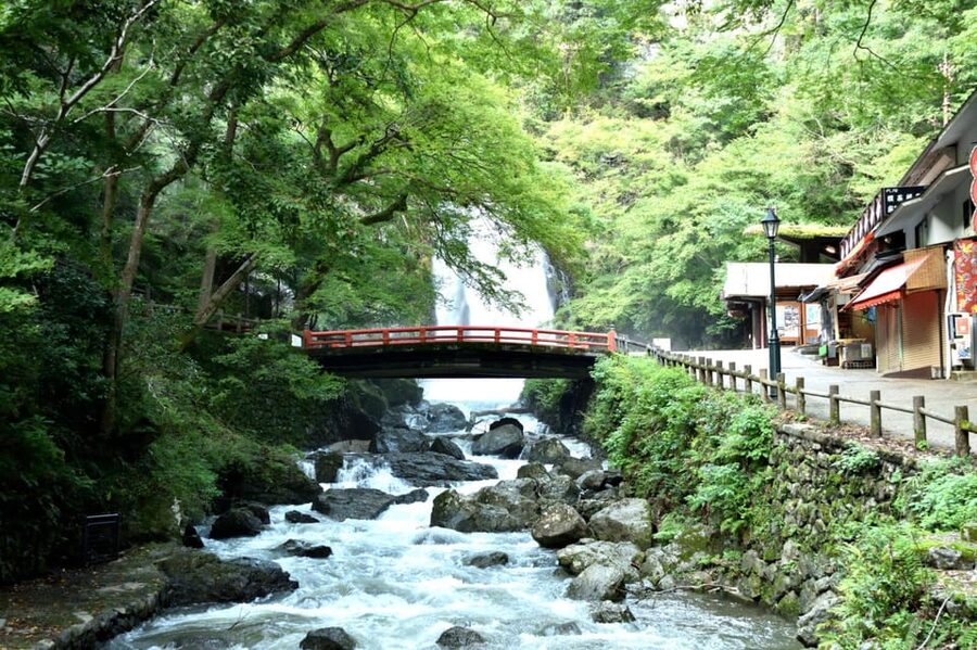 Osaka: Minoh, Katsuoji Temple, & Minoh Falls Full-day Tour - Key points at a glance