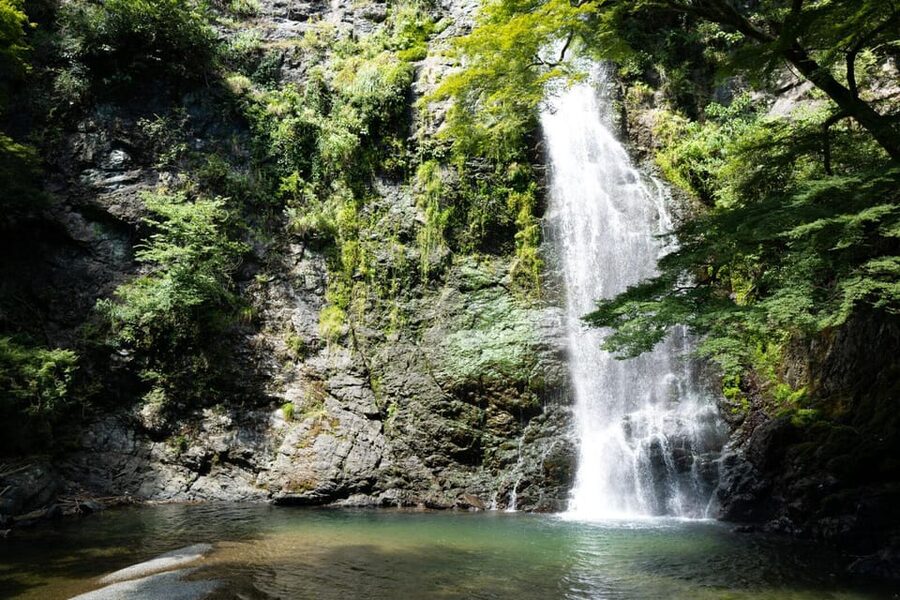 Osaka: Minoh, Katsuoji Temple, & Minoh Falls Full-day Tour - What the guides add to the experience