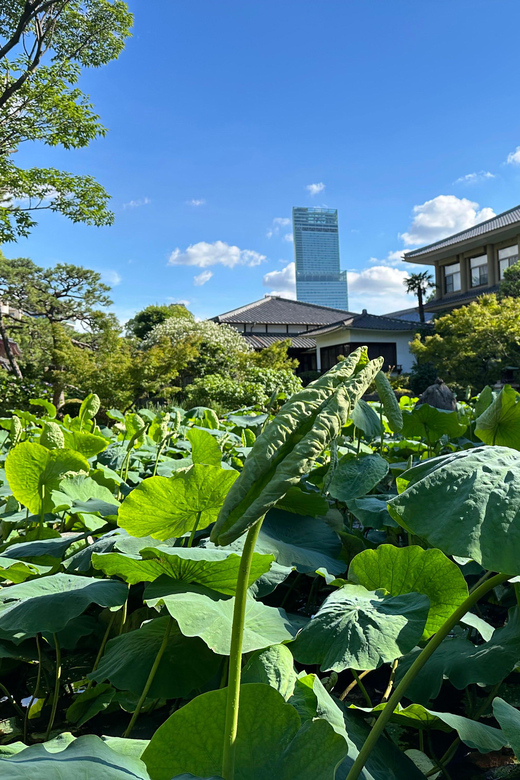 Osaka: Private Tour of Shitennoji, Osaka's Oldest Temple - The viewpoint and the final look at Shitennoji