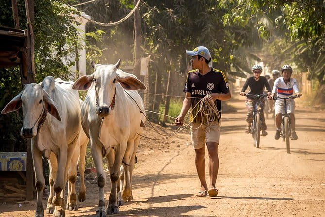 Oudong Temples & Phnom Prasith Private Tour from Phnom Penh - How the $139 price compares with the experience