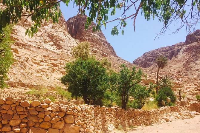 Overnight Trip to Saint Catherine Monastery from Cairo - Is $290 a fair price?
