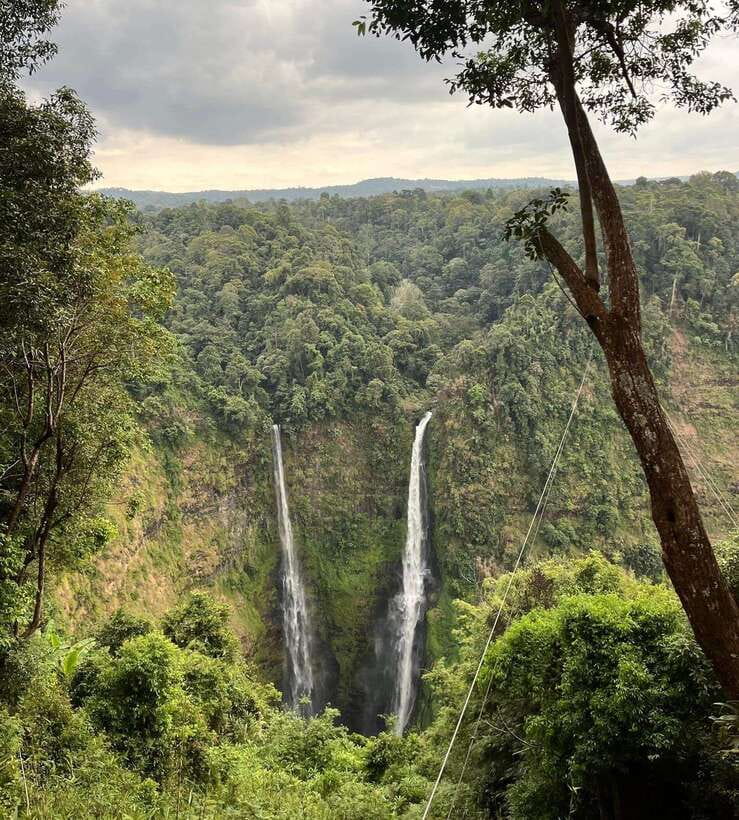 Pakse: Mystic Falls & Timeless Temples of Southern Laos Tour - Tad Gneuang: a gentle opening in the forest