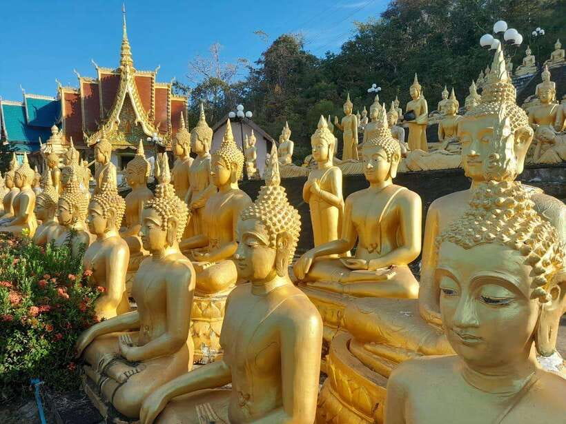 Pakse: Mystic Falls & Timeless Temples of Southern Laos Tour - Who will enjoy this Southern Laos tour?