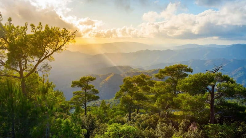 PAPHOS: Troodos Mountains "Monasteries & Villages" by coach - Pickup from Paphos hotels