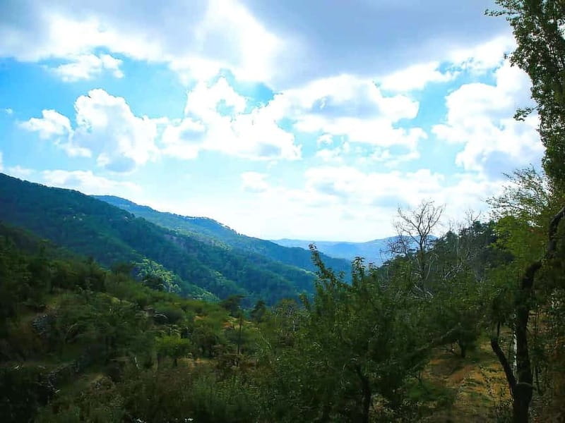Paphos: Troodos, Omodos & Kykkos Monastery Full-Day Tour - Kykkos Monastery and the Virgin Mary icon