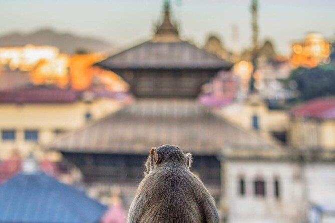 PashupatiNath and BoudhaNath - Private/Small Group - Guru Lhakhang and the Buddhist monastery setting