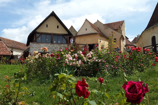Peles Castle, Bran Castle, Rasnov Fortress and Sinaia Monastery Tour from Brasov - Starting at 9 a.m. in Brasov