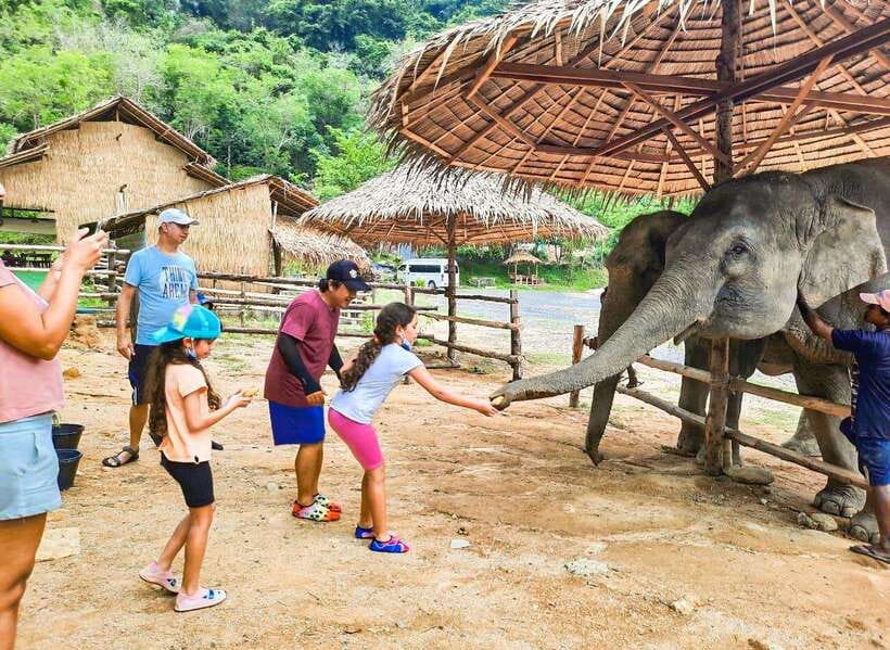 Phuket City Tour with Viewpoints, Temples & Elephant Feeding - Key points to know before booking