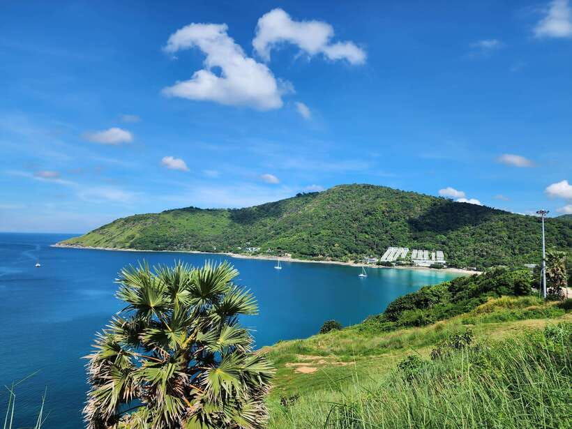 Phuket City Tour with Viewpoints, Temples & Elephant Feeding - The cashew factory and short tasting stops