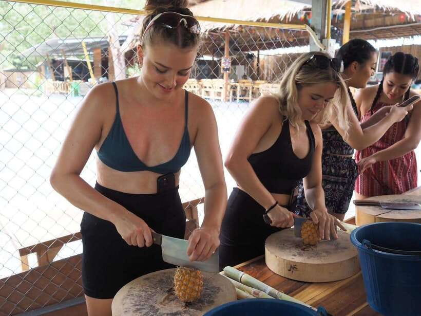 Phuket City Tour with Viewpoints, Temples & Elephant Feeding - Feeding elephants at Phuket Elephant Care