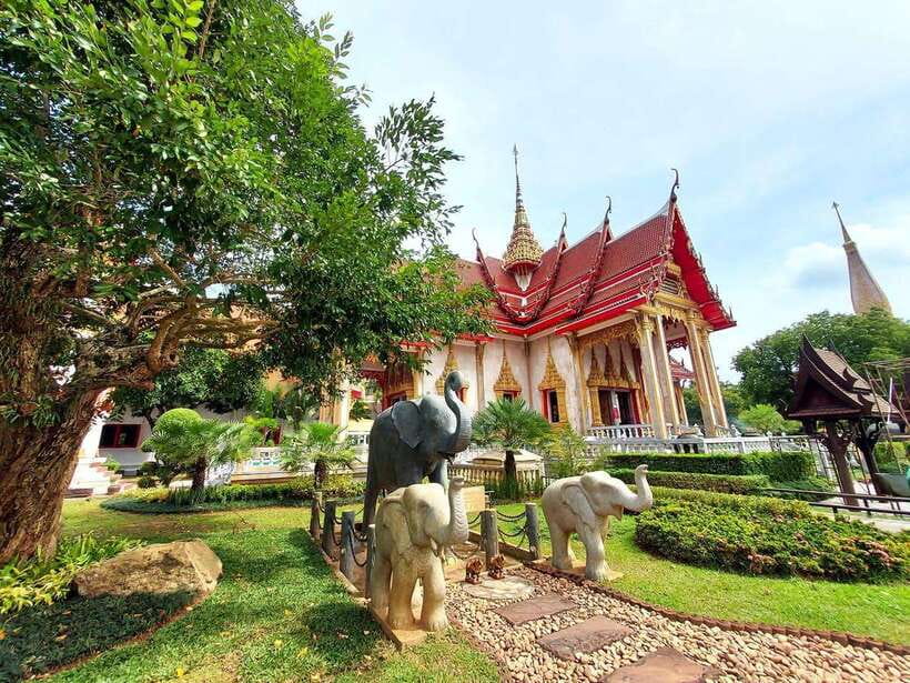 Phuket City Tour with Viewpoints, Temples & Elephant Feeding - Khao Rang Hill and Phuket’s inland views