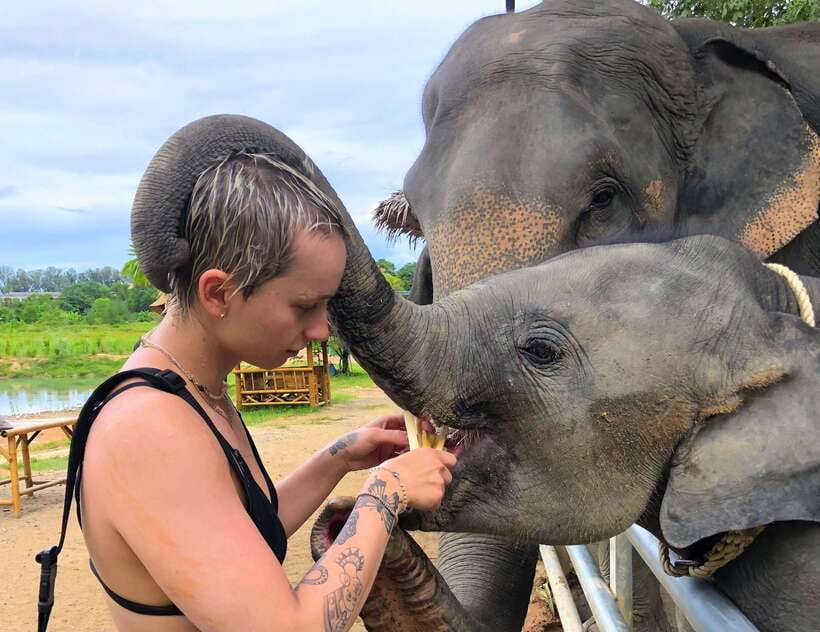 Phuket City Tour with Viewpoints, Temples & Elephant Feeding - Phuket Old Town after the hills