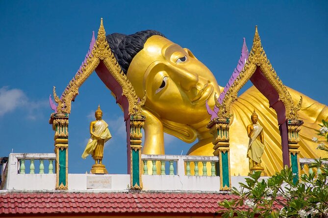 Phuket Giant Water Lilies & Temple Tour - Private & All-Inclusive - What your guide adds to the day
