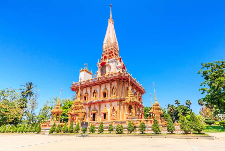 Phuket: Phuket Elephant Sanctuary, Wat Chalong & more - Why the elephants are the heart of the day
