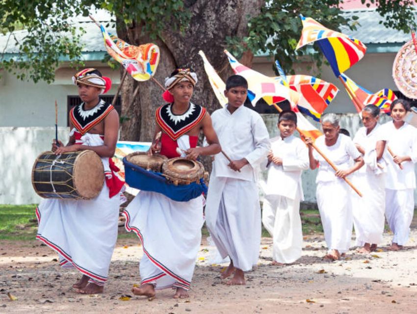 Polonnaruwa Day Tour With Minneriya NP Elephant Safari - Minneriya National Park by private 4x4