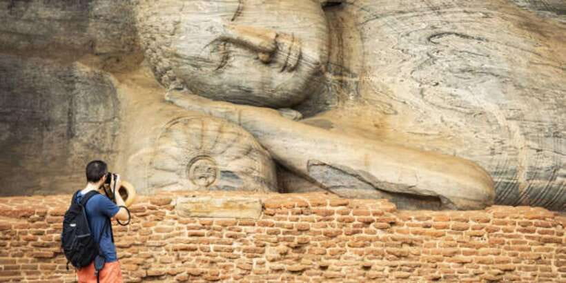 Polonnaruwa Day Tour With Minneriya NP Elephant Safari - Who should book this day?