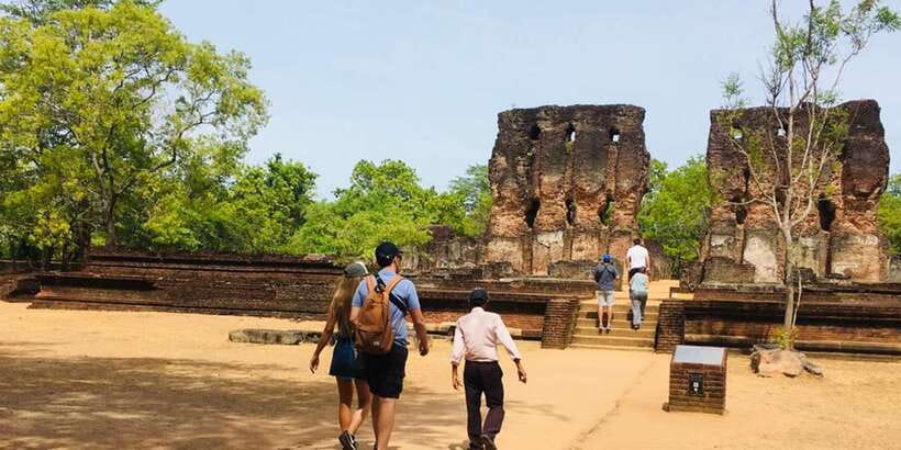 Polonnaruwa Sight Seeing Tour and Minneriya Elephant Safari - Starting from Dambulla, Sigiriya, Habarana, or Kandalama