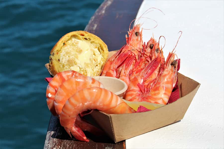 Port Douglas: Shaolin Seafood Lunch Sail, with Fresh Prawns - Who Will Enjoy This Sailing Lunch Most