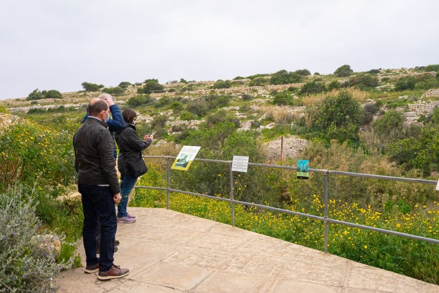 Prehistoric Temples of Malta Tour - Who should book this temple tour?
