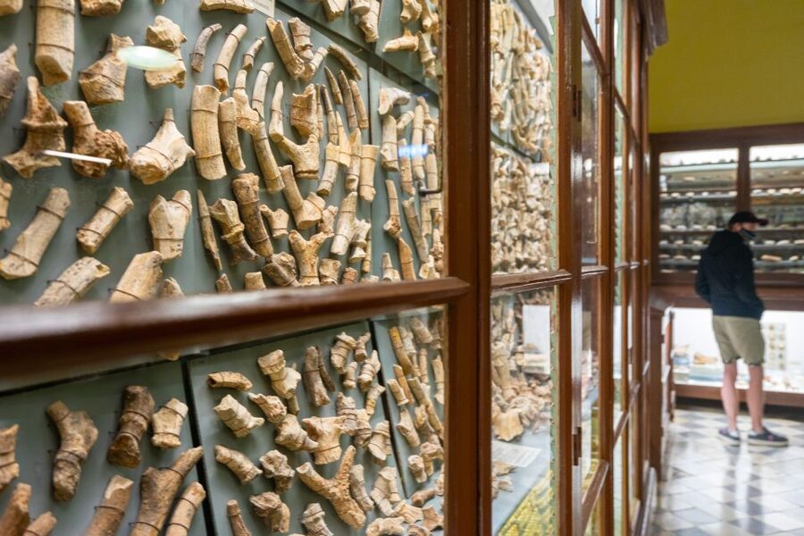 Prehistoric Temples of Malta Tour - Why Malta’s oldest monuments deserve your morning