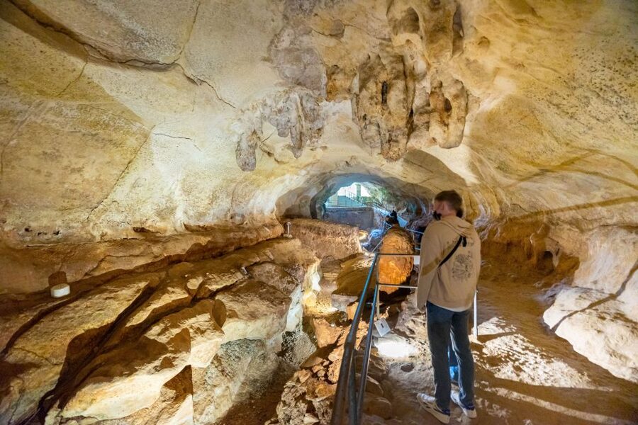 Prehistoric Temples of Malta Tour - Ghar Dalam Cave: Malta before the temples