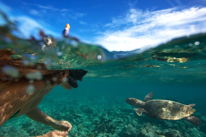 Premium Oahu Circle Island Tour – Small Group, No Crowds - Waimea Bay, Sunset Beach, and the North Shore drive