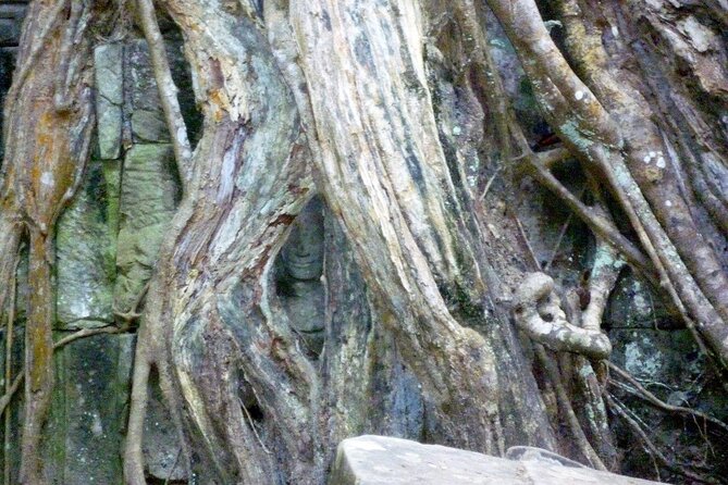 Private Angkor Wat Day Tour - Best of Angkor - The second Angkor Wat visit is more useful than it sounds