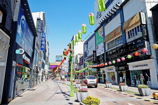 Private Busan tour with gamcheon culture village and the temple (Customizable) - The best city view may be Hwangnyeongsan