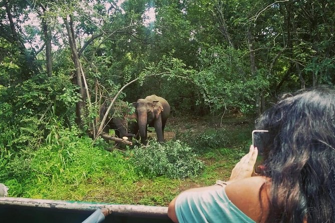 Private Dambulla Sigiriya Tour from Kandy with Lunch - What this Kandy day trip is really like