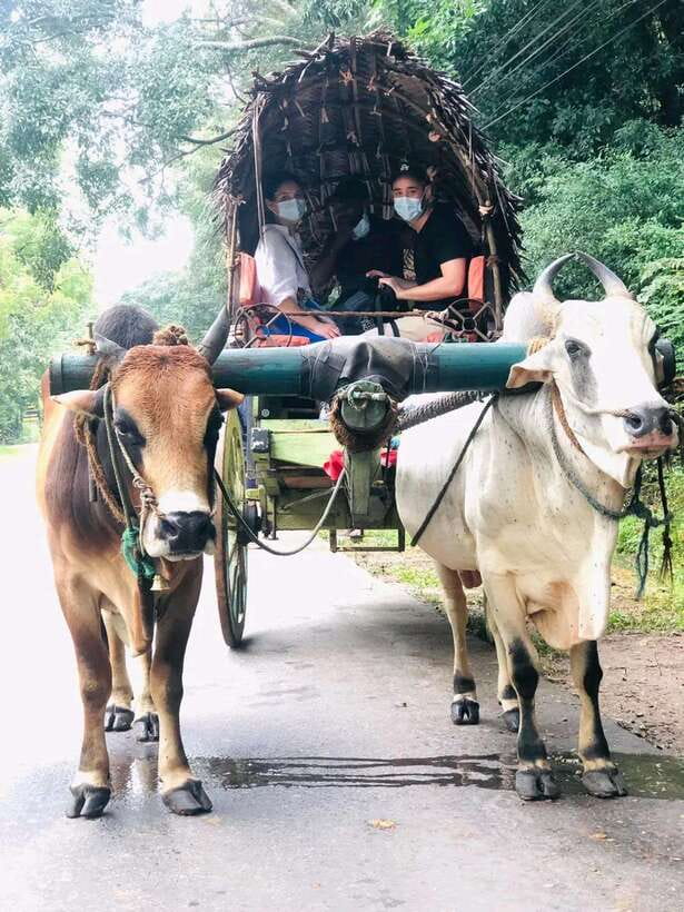 Private Day Tour Dambulla Sigiriya Village Tour - Key points to know before you go