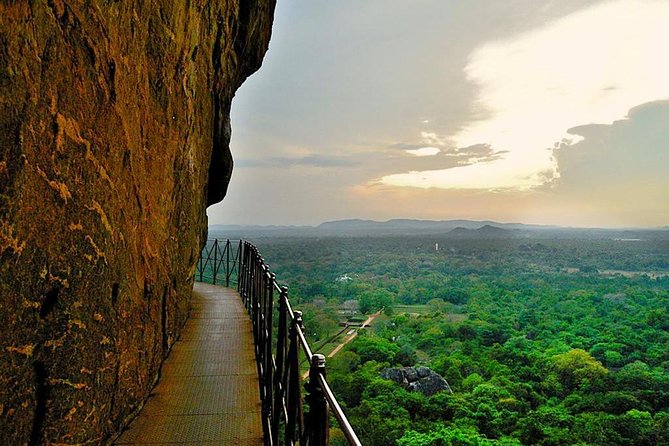 Private Day Trip to Sigiriya , Dambulla and Pidurangala Rock - The elephant orphanage question needs a clear answer