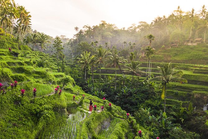 Private Full-Day Tour: Balinese Temples and Rice Terraces - Tegalalang Rice Terrace in a short walking visit