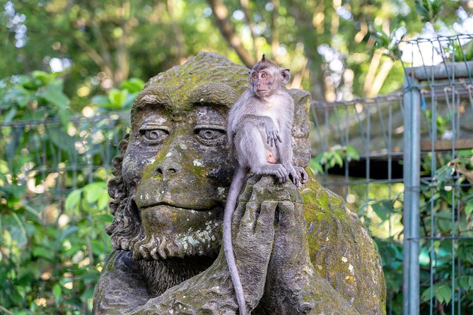 Private Full-Day Tour: Balinese Temples and Rice Terraces - Lunch above the jungle at D’Alas Warung