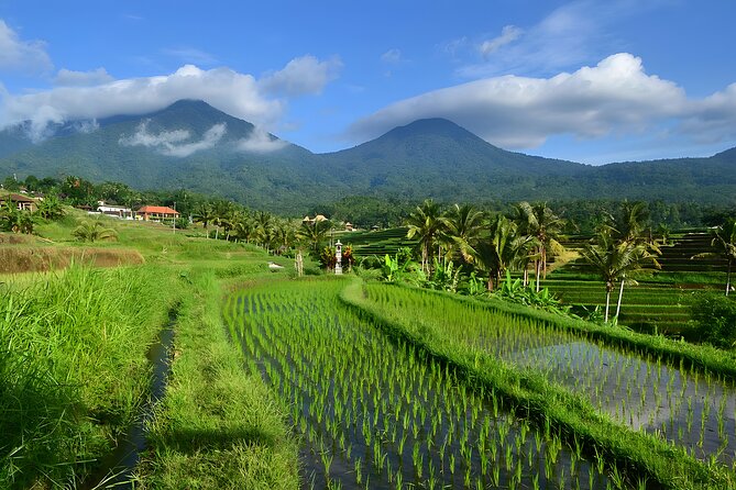 Private Full-Day Tour: Ulun Danu Beratan Temple, Jatiluwih and Tanah Lot Temple - Ulun Danu Beratan is the visual star