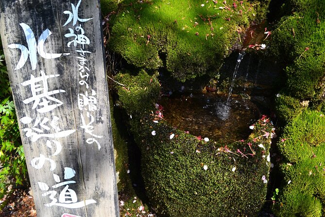 Private guided tour: Mt. Aso volcano, grasslands, Aso Shrine - Monzenmachi, mineral water, and an Akaushi lunch