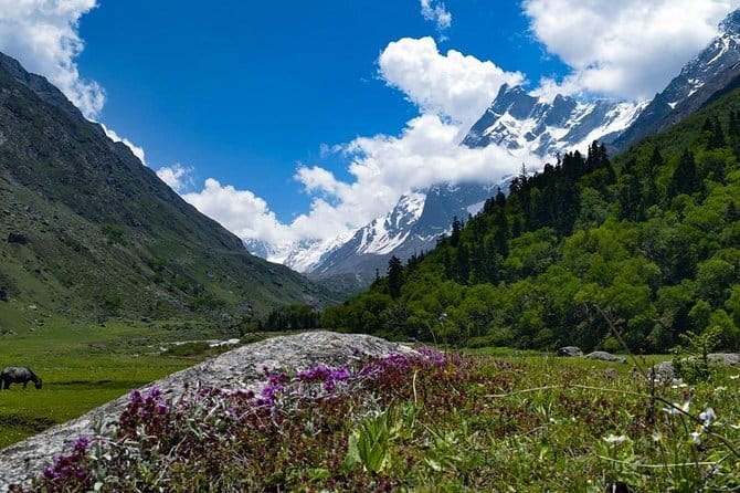 Private Guided Trek to Kunjapuri Temple & Waterfall at Sunrise - Who will enjoy this hike most