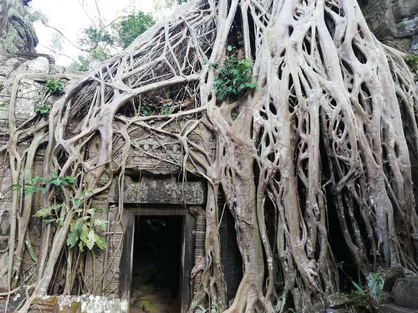 Private Sunrise Angkor Wat Tour - Before dawn in Siem Reap, the day starts with Angkor Wat