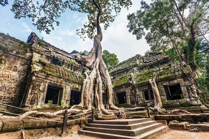 Private sunrise 'small tour' of Angkor Wat with car or van & Guide - Ta Prohm is atmospheric, famous, and often crowded