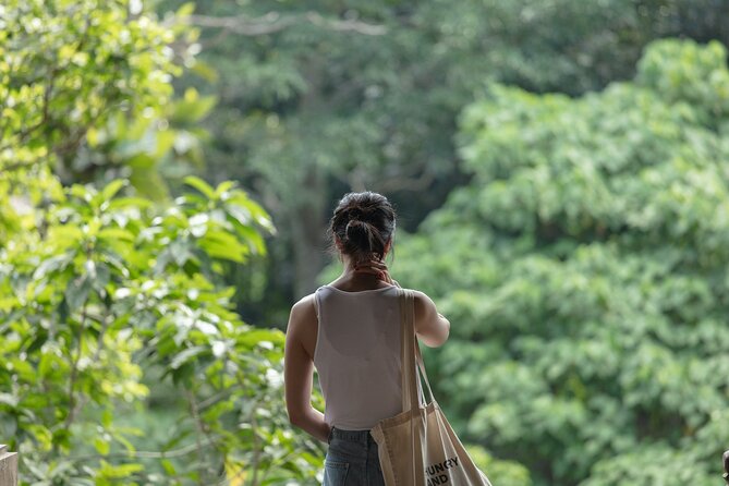 Private Tour : Bali Best Waterfalls, Temples and Monkey Forest - A flexible lunch break in Ubud