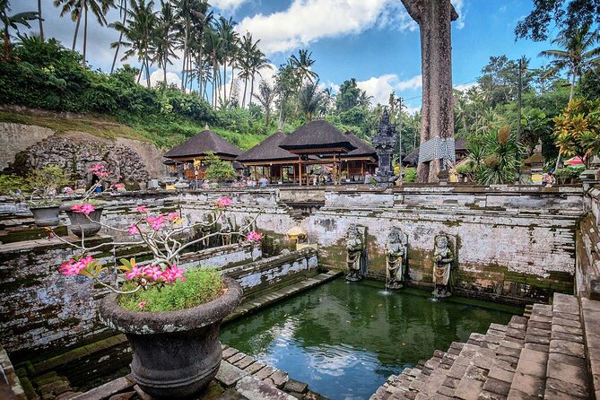 Private Tour : Bali Best Waterfalls, Temples and Monkey Forest - Elephant Cave is smaller than the name suggests