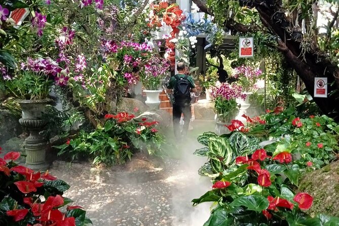 Private Tour Chiang Rai 3 Wonderful Temples & Lalitta Cafe - Huay Pla Kang on the hill